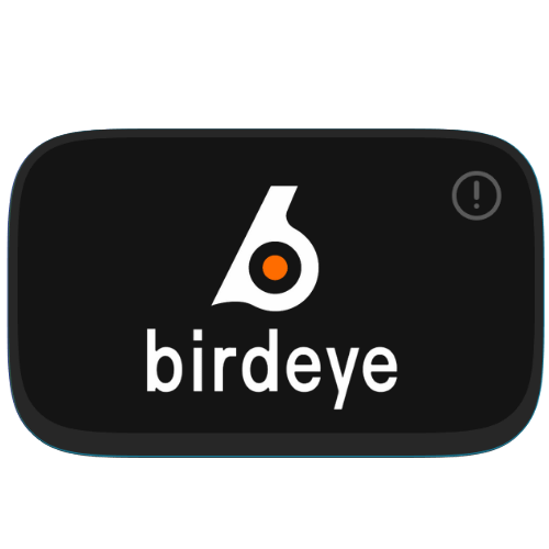 BirdEye Logo